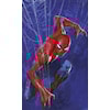 Marvel Spider-Man Spider Web